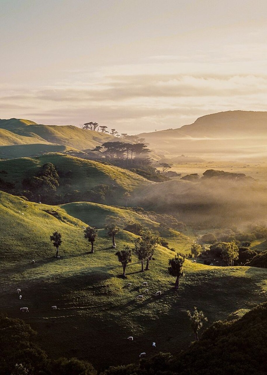 Bishop 18 Poster Print by Design Fabrikken Design Fabrikken - Item # VARPDXMF9691199